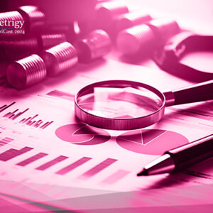 Customer Experience MetriCast: 2024